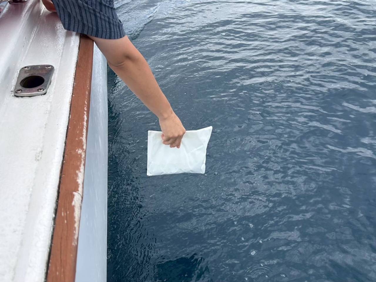 代行海洋散骨は安心？契約時に確認する6つの注意点