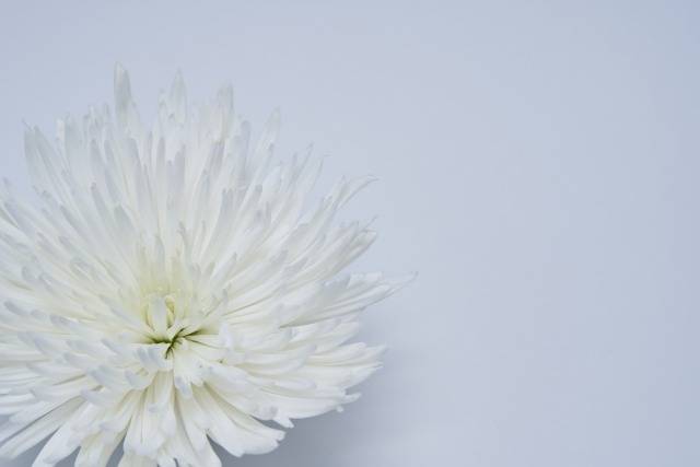 弔電の文例30選|葬儀・通夜で使える厳選フレーズ