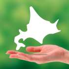 北海道の葬式で泊まる習慣と参列者が知るべき当日の流れ詳説